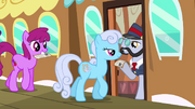 Berryshine and Shoeshine at the station S03E12
