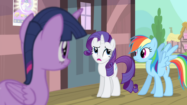 File:Rarity 'during most of your visits with her' S4E11.png