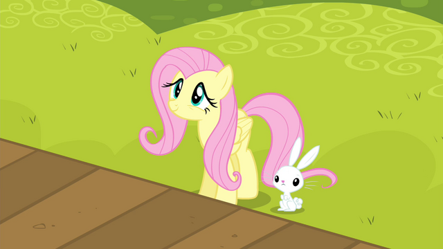 File:Fluttershy watching S4E14.png