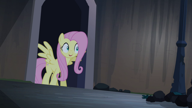 File:Fluttershy hopeful S4E03.png