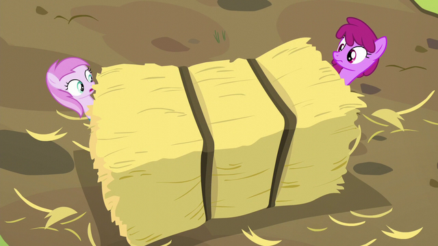 File:Berryshine and Pina nearly crushed by hay bale S5E17.png