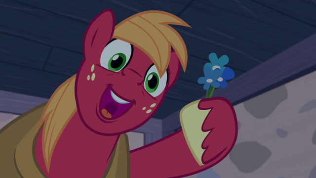File:Big McIntosh sings and gives flower to Sugar Belle S7E8.png