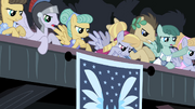Pegasus ponies applause S2E11.png