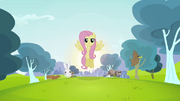 Resolute Fluttershy S2E22.png