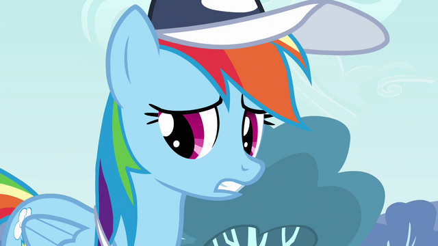 File:Rainbow Dash everypony except S2E22.png