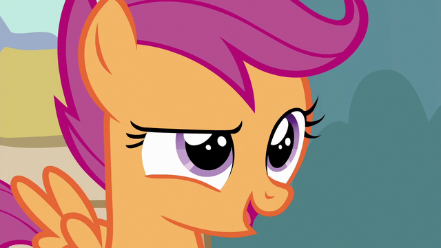 File:Scootaloo "you're a Crusader now" S6E19.png