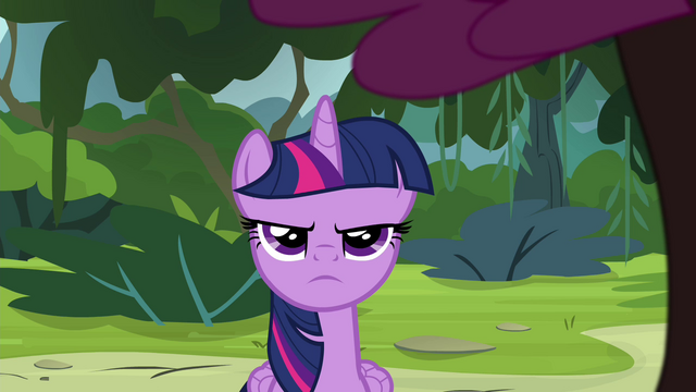 File:Twilight Sparkle unamused S4E25.png