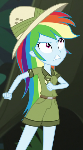 File:Rainbow Dash jungle adventurer ID EGS1.png