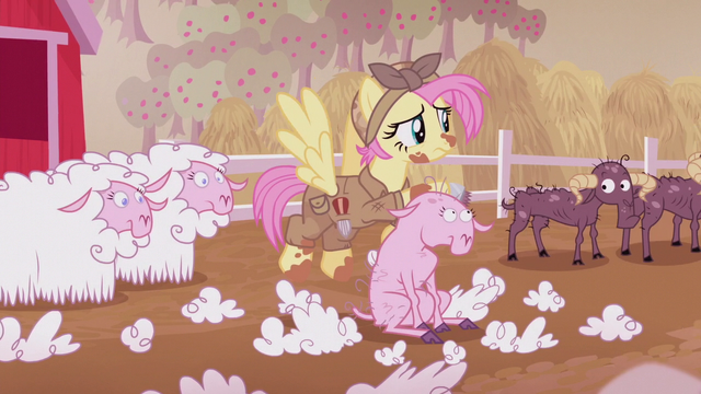 File:Fluttershy shearing sheep S5E25.png