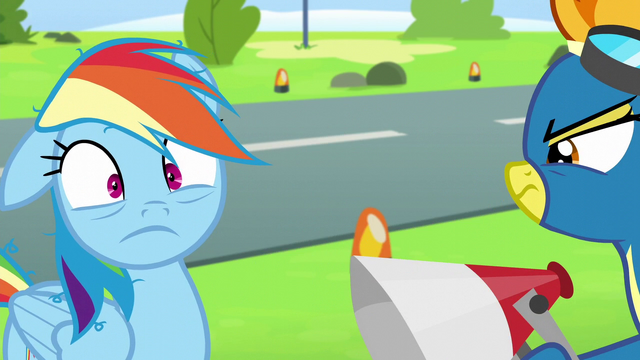 File:Rainbow Dash frazzled S6E7.png