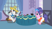 Rarity-SB Parents.png