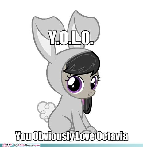 File:FANMADE Octavia YOLO.jpg