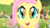 S01E23 Mała Fluttershy śpiewa do motylków.png