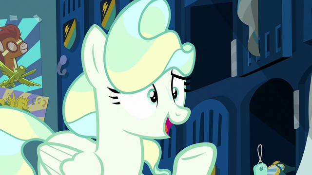 File:Vapor Trail "Sky doesn't need anypony's help" S6E24.png