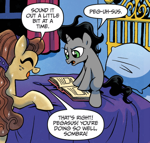 File:FIENDship is Magic issue 1 Chestnut Falls and Sombra.png