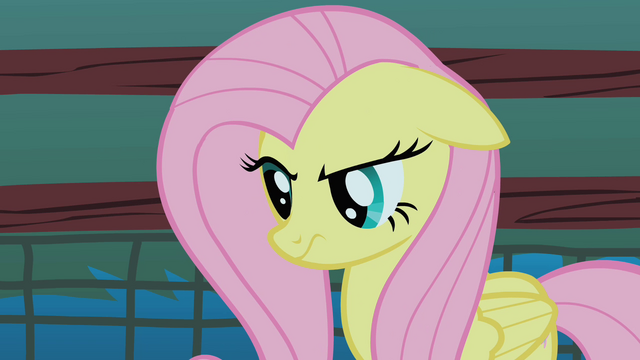 File:Fluttershy stare prelude S1E17.png
