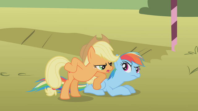 File:Applejack and Rainbow Dash 2 S01E13.png