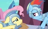 S03E02 Rainbow chce dać Fluttershy wygrać.PNG