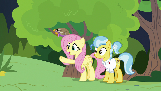 File:Fluttershy "even better than you imagined!" S7E5.png