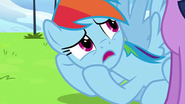 File:Rainbow Dash "we really messed up" S6E24.png