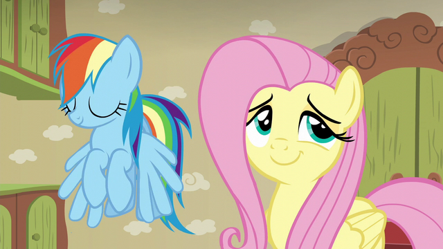 File:Fluttershy playfully rolling her eyes; Dash shaking her head S6E11.png