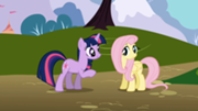 Fluttershy.png