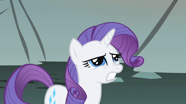 File:Rarity weird question S1E19.png