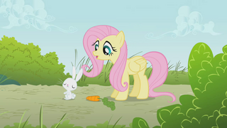 Fluttershy with Angel Bunny in S1 E7