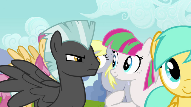 File:Thunderlane glaring at Blossomforth S2E22.png