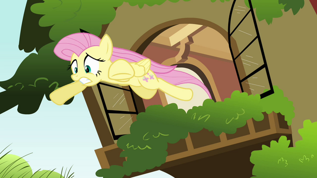 File:Fluttershy window leap S2E21.png