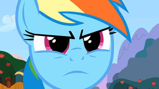 File:Rainbow Dash serious S2E15.png