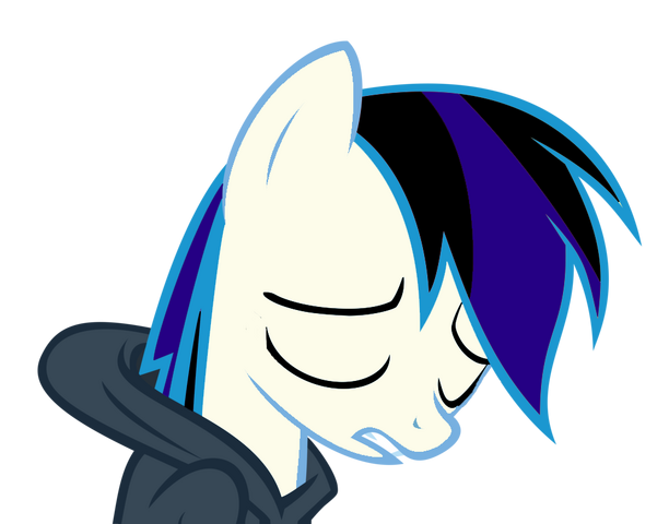 File:FANMADE Enigma Hoodie.png