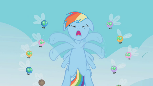 File:Rainbow flapping S01E10.png