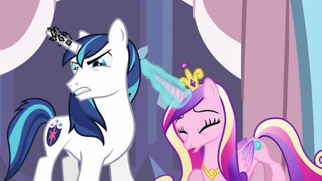 File:Shining Armor 'I have to find' S3E2.png