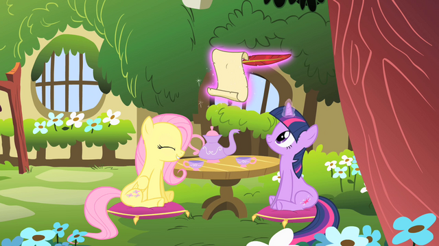 File:Fluttershy and Twilight S01E17.png