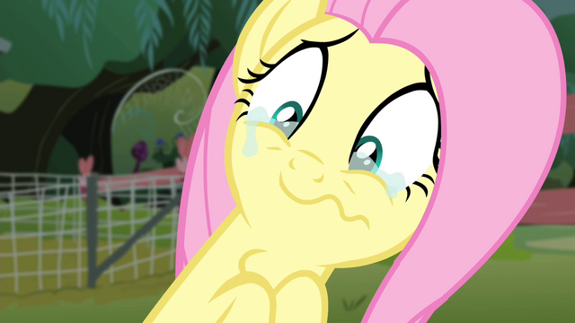 File:Fluttershy with tears on her eyes S4E14.png