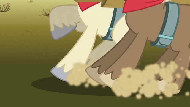 File:Stallions stop S5E11.png