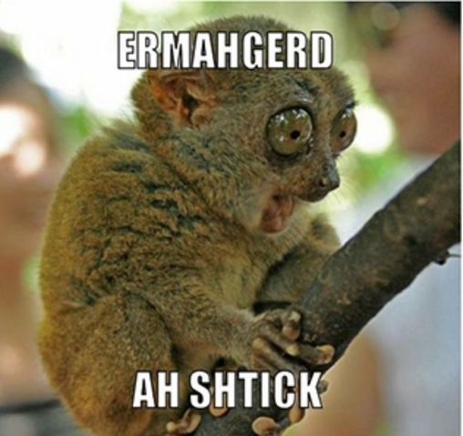 File:Ermahgerd a stick.png