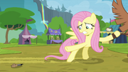 Fluttershy tries to retrieve bear call S4E22