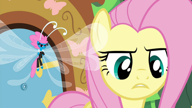 File:Fluttershy telling it like it is S4E16.png