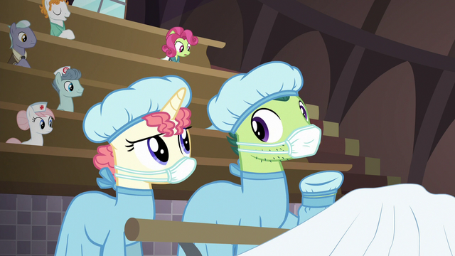 File:Masked Pony 2 "did she say apple blight?" S6E23.png