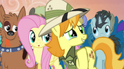 Daring Do collector "the sweetest thing I've ever heard" S4E22