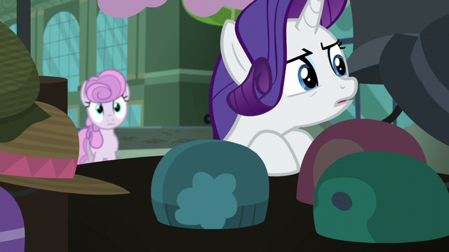 File:Rarity "none of these will do" S5E16.png
