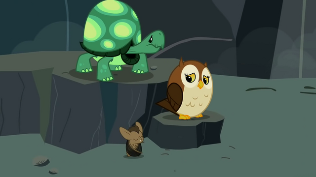 File:Tank, bat and owl nervous S2E07.png
