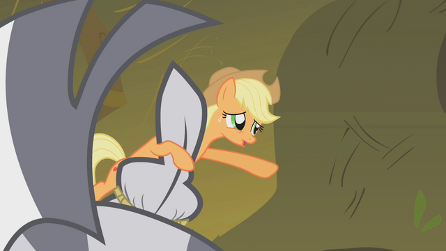 File:Applejack worried S01E09.png