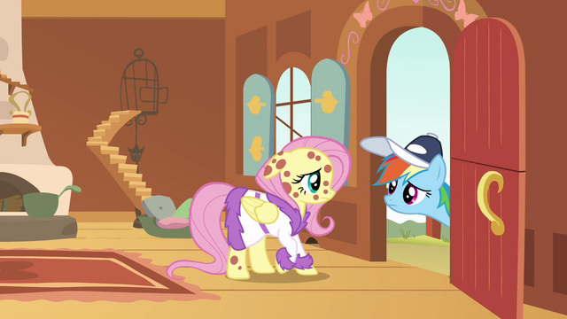 File:Rainbow Dash at the door looking at Fluttershy S2E22.png