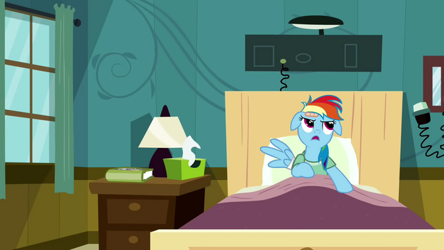 File:Rainbow Dash sighing S2E16.png