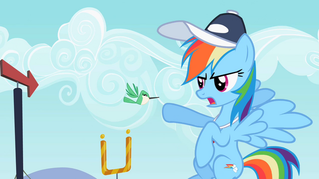 File:Rainbow Dash with the hummingbird S2E07.png