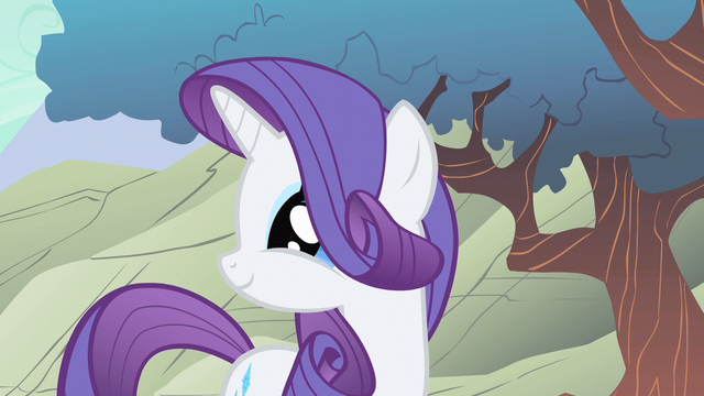 File:Rarity you know S1E19.png