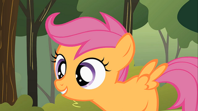 ファイル:Scootaloo.png